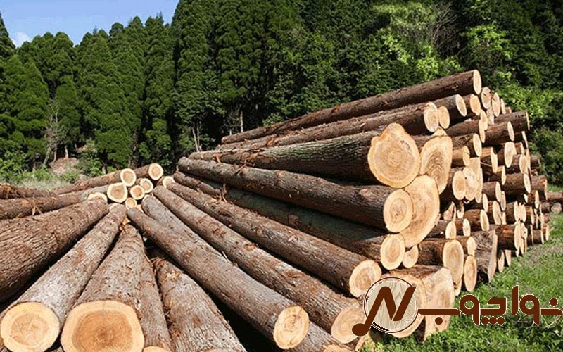 چوب یولکا