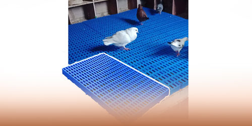 تولید پالت پلاستیکی برای صنایع دامداری 