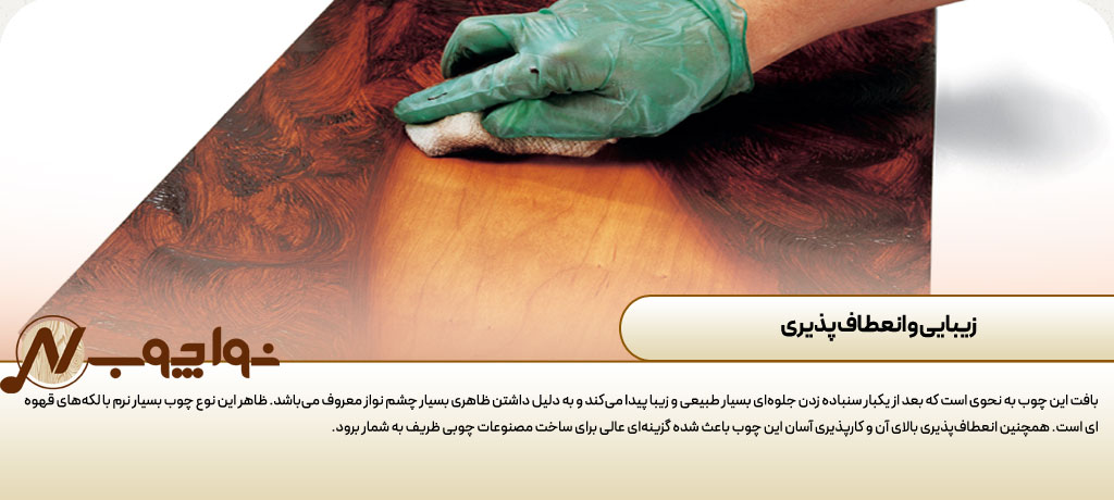 زیبایی و انعطاف‌ پذیری
