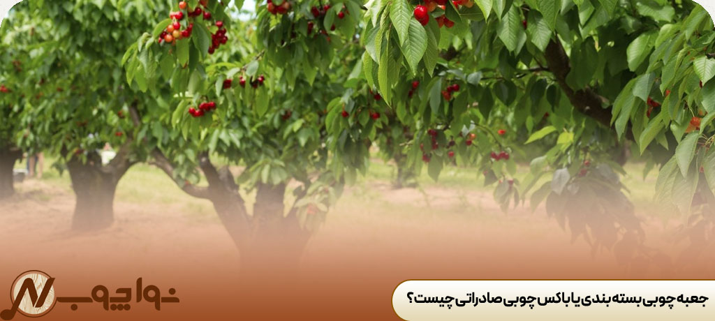 چوب گیلاس چه خاصیتی دارد