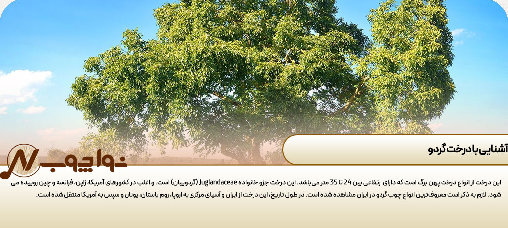 رنگ چوب گردویی