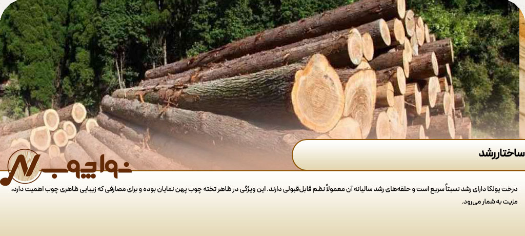 چوب روسی یولکا