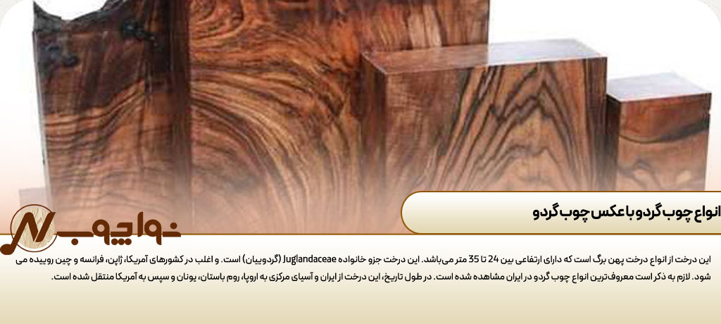 چوب گردو