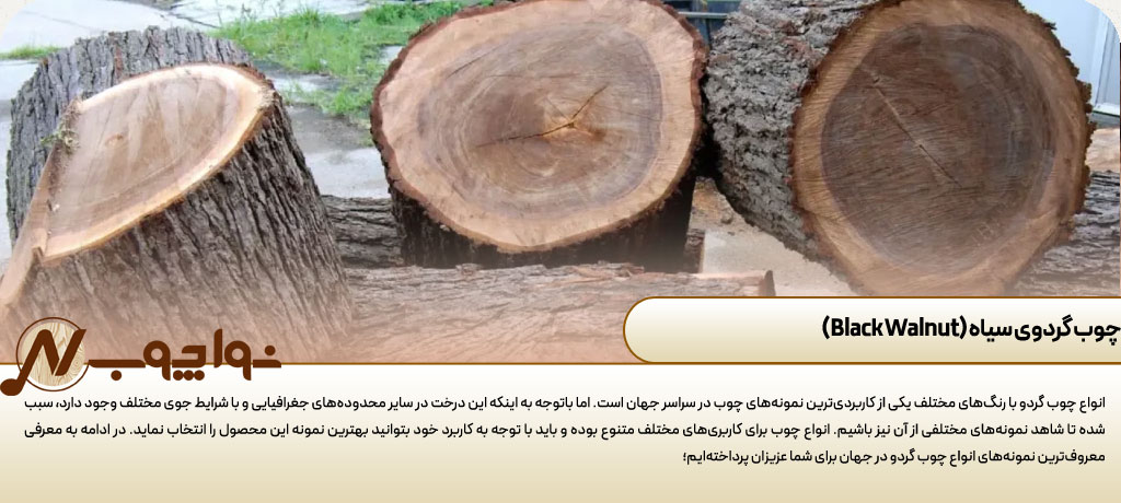 چوب گردویی